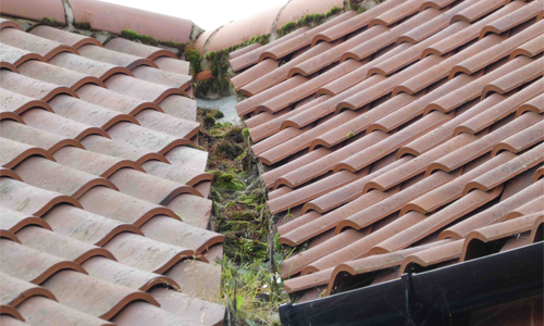 home-insight-example